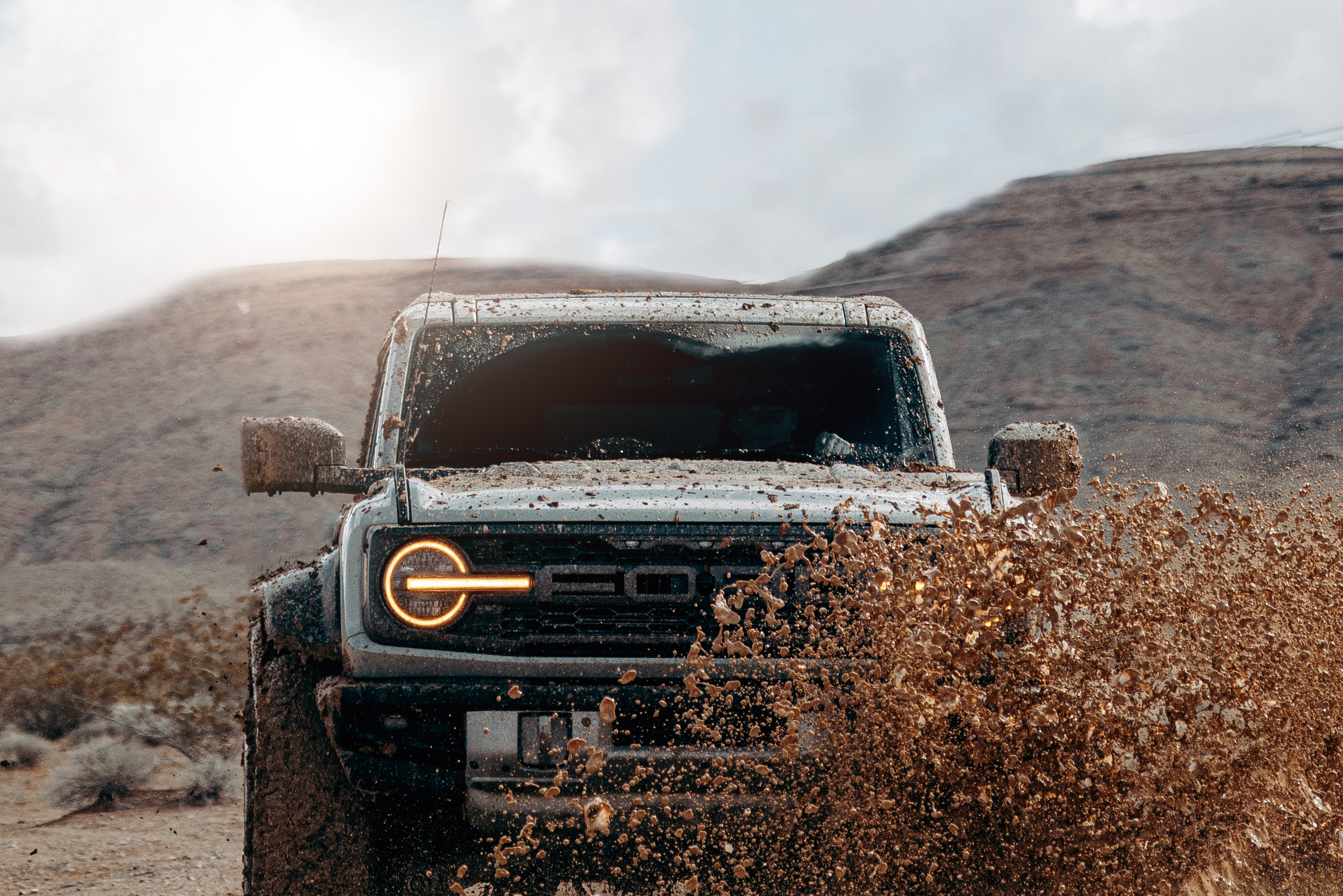 Windshield protection film
